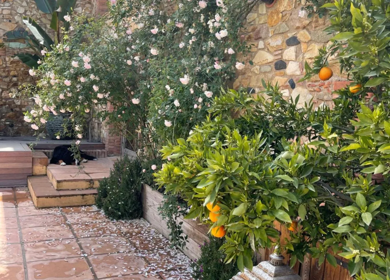 Mas Figueres Apartment Caldes de Malavella Spain